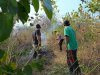 Sinergi Tim Gabungan Padamkan Kebakaran Hutan di Bukit Pertapan Desa Kebon