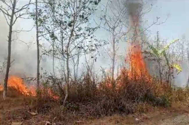 PENANGANAN KARHUTLA DI DESA KRAKITAN KECAMATAN BAYAT