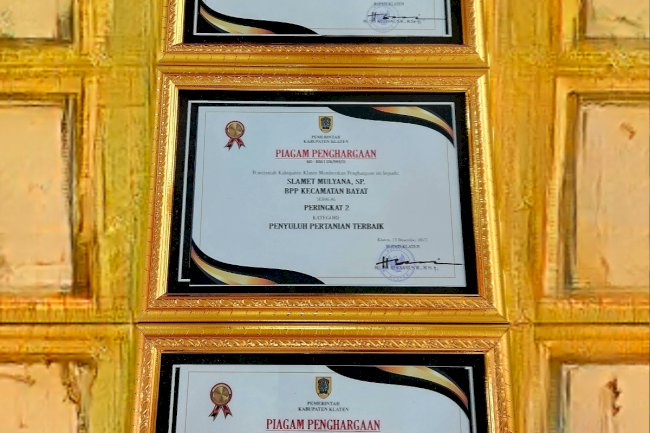 Penghargaan Untuk Kecamatan Bayat
