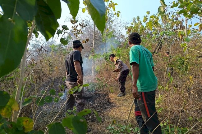 Sinergi Tim Gabungan Padamkan Kebakaran Hutan di Bukit Pertapan Desa Kebon