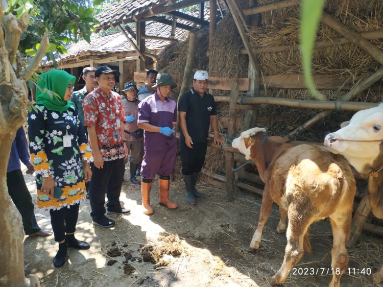 VAKSINASI ANTRAX DI DESA NENGAHAN KECAMATAN BAYAT