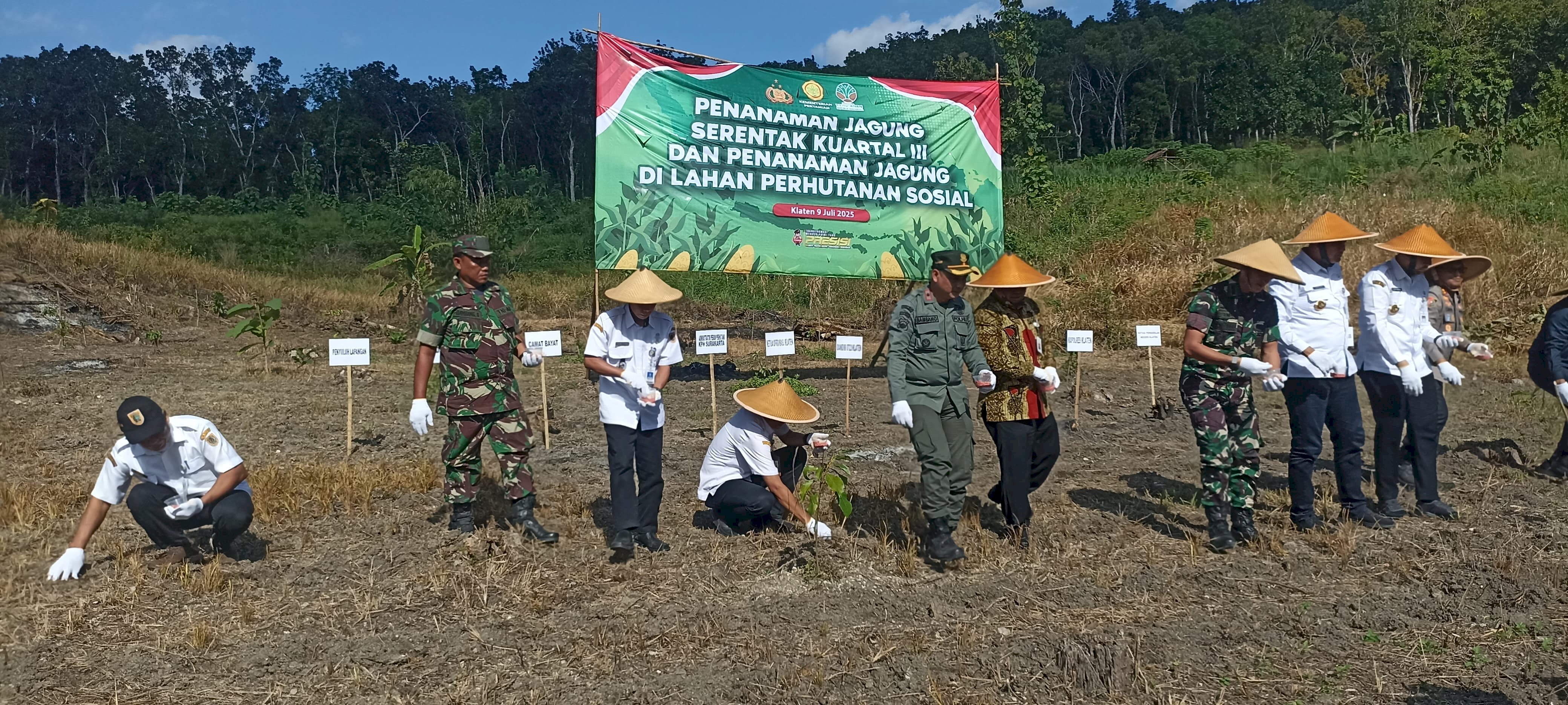 Kegiatan Penanaman Jagung Serentak Kuartal III di Lahan Perhutani Sosial yang Berada di Desa Krakitan