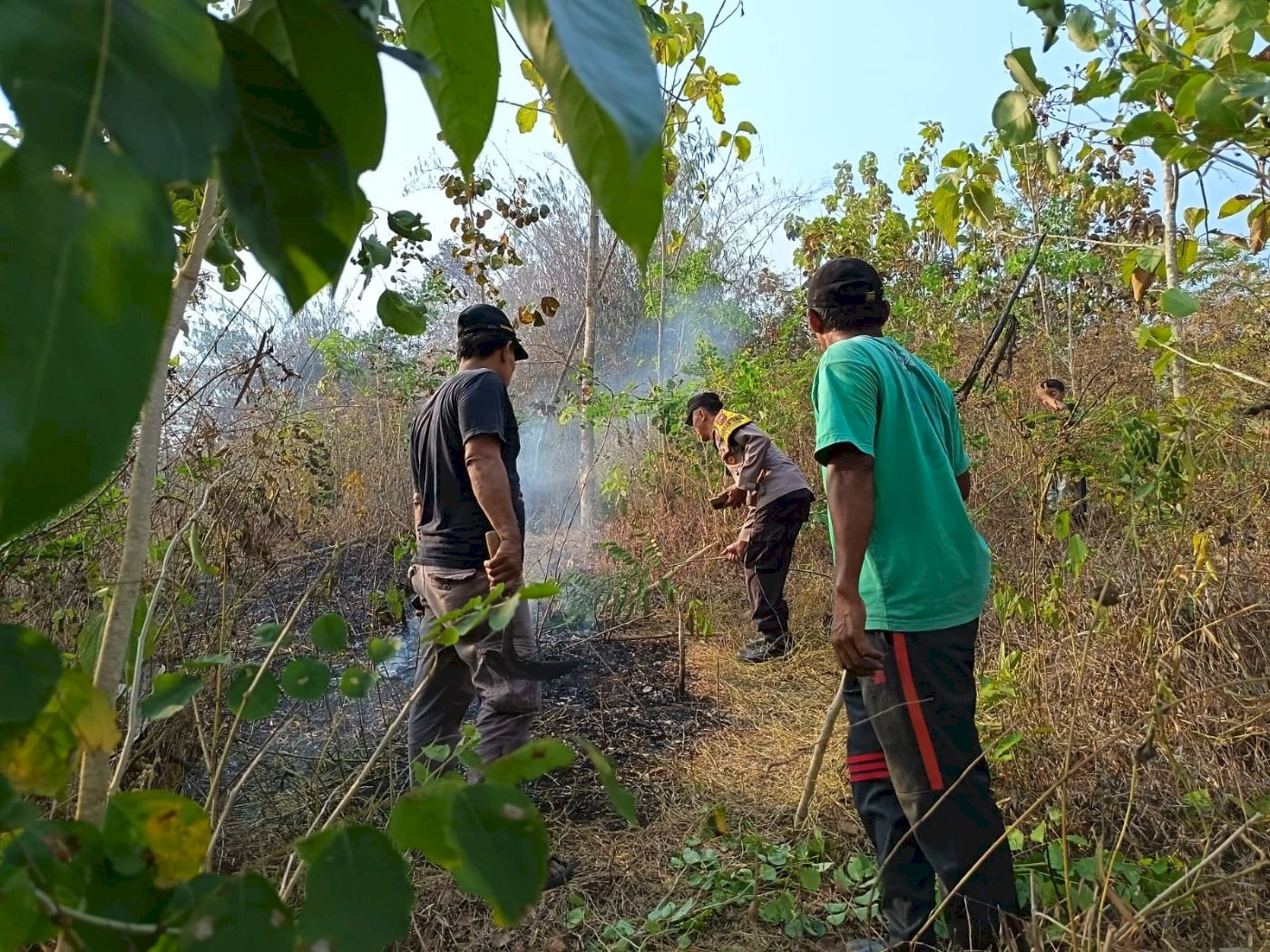 Sinergi Tim Gabungan Padamkan Kebakaran Hutan di Bukit Pertapan Desa Kebon